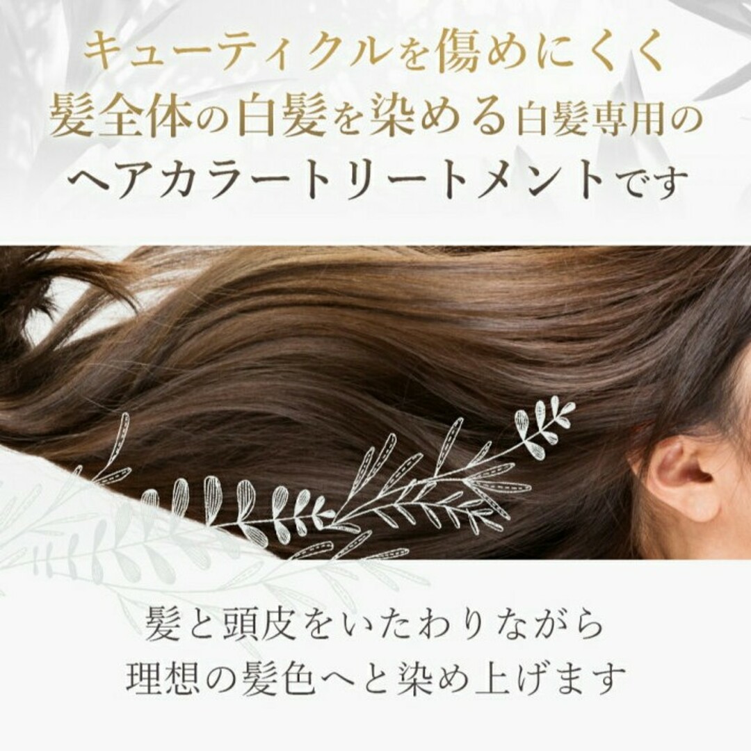 biseno ヘアカラートリートメント【ナチュラルブラック】150g商品 コスメ/美容のヘアケア/スタイリング(白髪染め)の商品写真