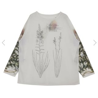 アメリヴィンテージ(Ameri VINTAGE)のVINTAGE ILLUSTRATION PRINT SHEER TOP(カットソー(長袖/七分))