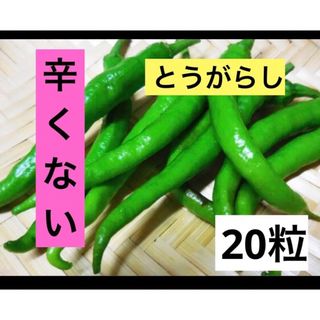 辛くない トウガラシ 伏見とうがらし 20粒 伏見甘長唐辛子 葉トウガラシ(野菜)