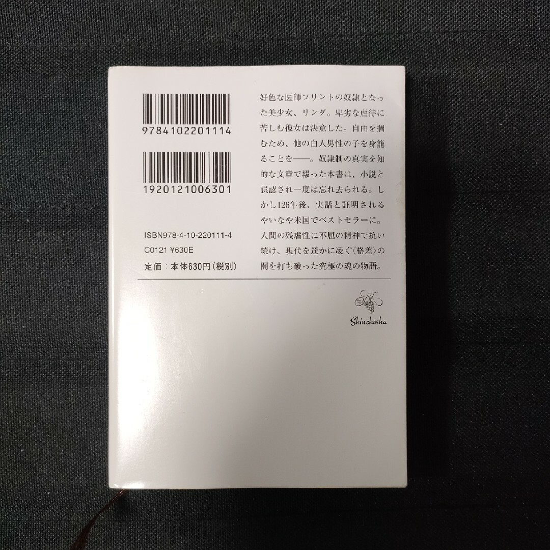 ある奴隷少女に起こった出来事　【2点以上は1点150円引き】 エンタメ/ホビーの本(その他)の商品写真