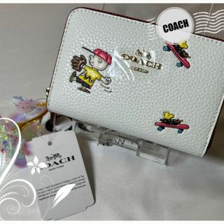 COACH - COACH コーチ × PEANUTS  コインケース ピーナッツ  C4901