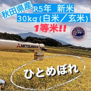 ★令和5年 ‪新米  ひとめぼれ 30kg  一等米級 秋田県産 産地直送★ (米/穀物)