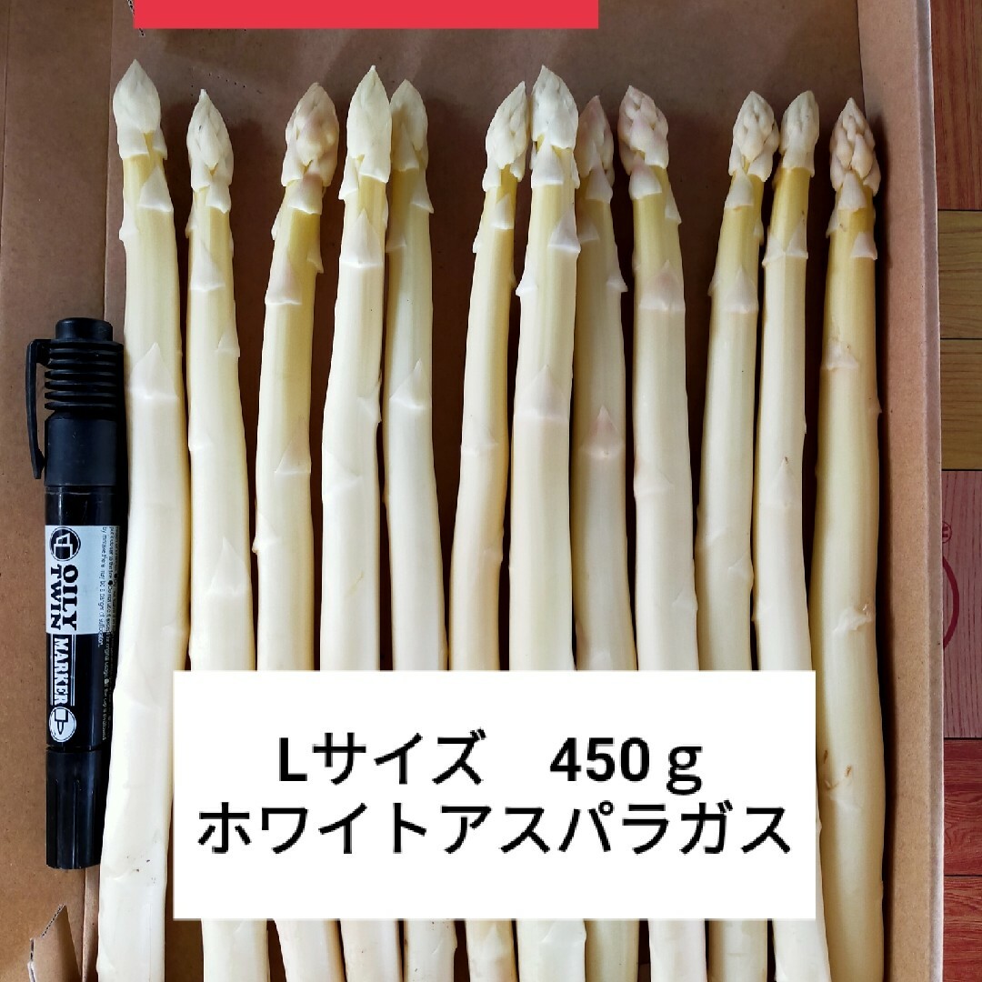 Lサイズ　ホワイトアスパラガス450g 食品/飲料/酒の食品(野菜)の商品写真