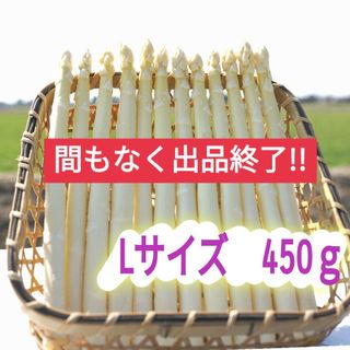 Lサイズ　ホワイトアスパラガス450g(野菜)