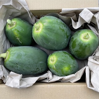 【Sale！】新鮮青パパイヤ60サイズにいっぱい約2kg♪(野菜)