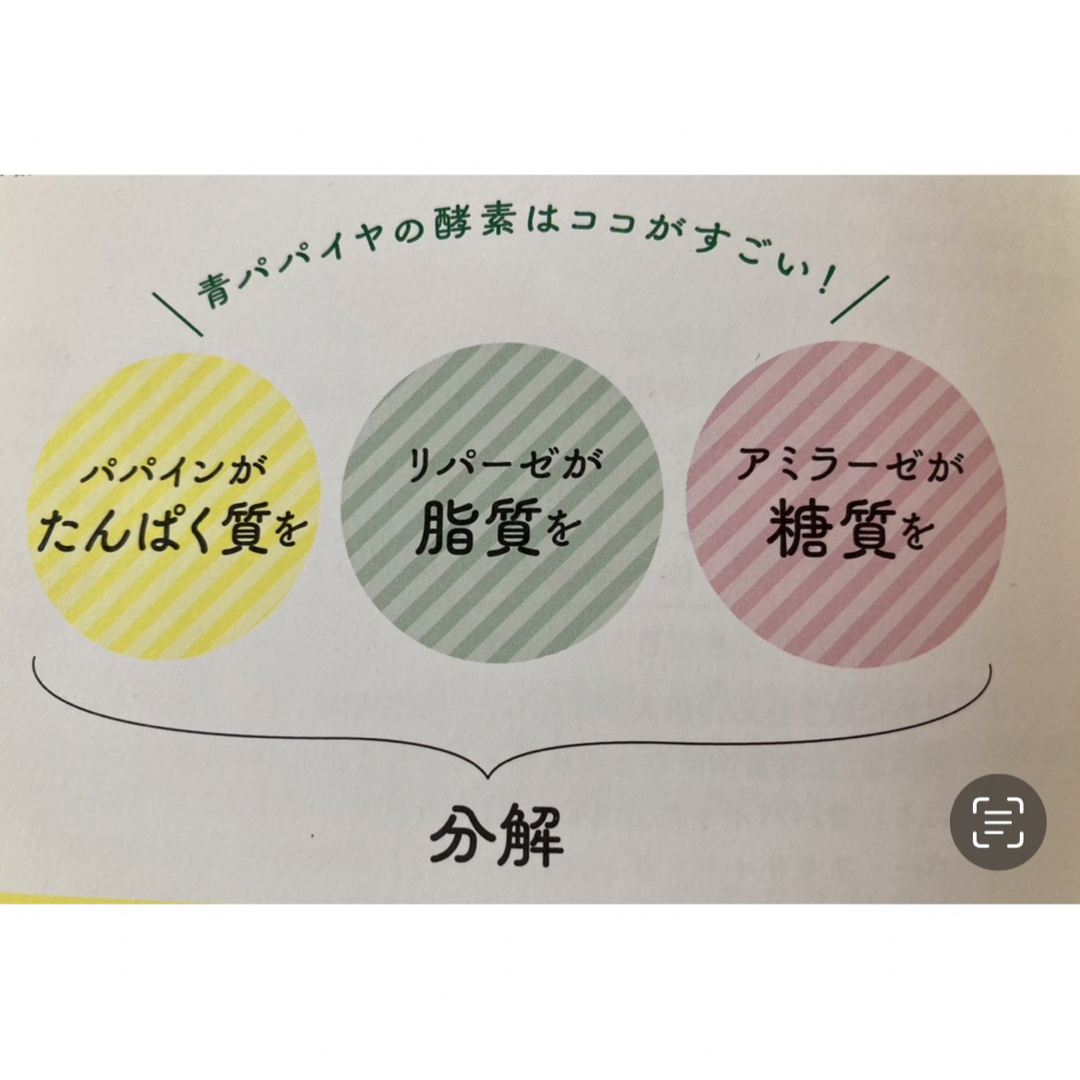 【Sale！】新鮮青パパイヤ60サイズにいっぱい約2kg♪ 食品/飲料/酒の食品(野菜)の商品写真