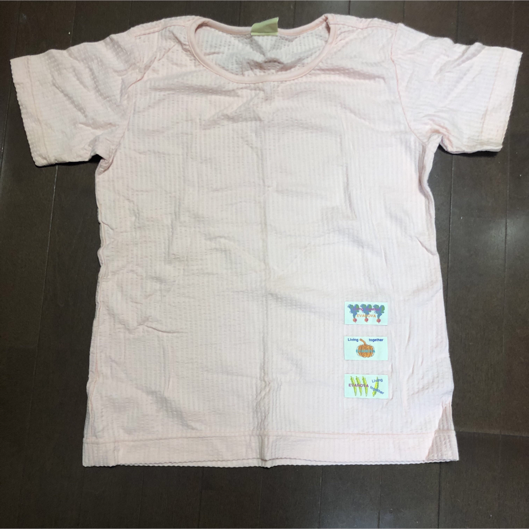ピンクストライプ 半袖Tシャツ レトロ レディースのトップス(Tシャツ(半袖/袖なし))の商品写真