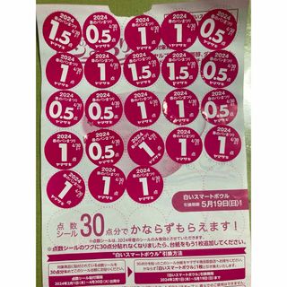 ヤマザキセイパン(山崎製パン)のヤマサキ 春のパンまつり 2024 パスコ　応募券(ノベルティグッズ)