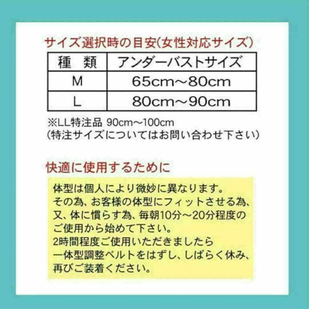 山田式　姿勢矯正ベルト　Lサイズ　とにかく姿勢が気になるかたに！　猫背矯正 スポーツ/アウトドアのトレーニング/エクササイズ(トレーニング用品)の商品写真