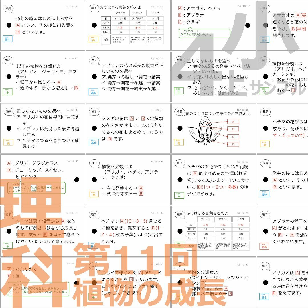 人気新品 中学受験【4年上全セット 理科 1-19回】暗記カード 予習シリーズ 語学+参考書