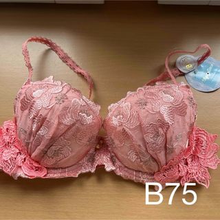 ブラジャー単品B75(9)リリアージュココ(ブラ)