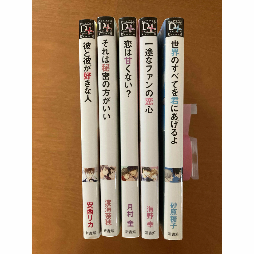 BL小説　5冊セット　ディアプラス文庫　安西リカ　月村奎　海野幸　他 エンタメ/ホビーの本(ボーイズラブ(BL))の商品写真