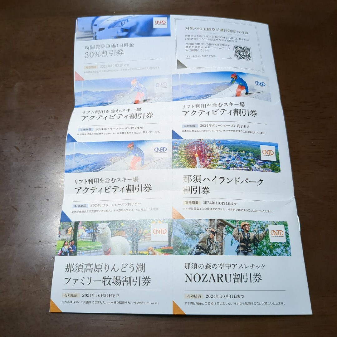 日本駐車場開発  株主優待　1冊 チケットの優待券/割引券(その他)の商品写真