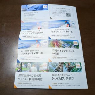 日本駐車場開発  株主優待　1冊(その他)