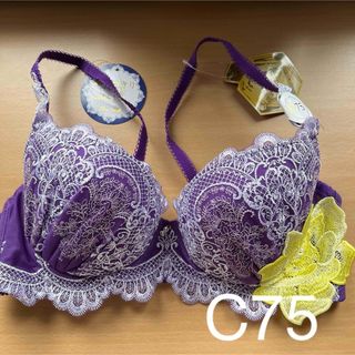 ブラジャー単品C75(8)ドゥペルル(ブラ)