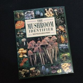 キノコ　北アメリカ　ヨーロッパ　図鑑　洋書　Mushroom マッシュルーム(洋書)