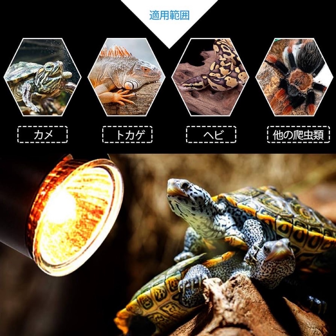 亀ライト 両生類用ライト 爬虫類ライト25W+50Wアナログ太陽  熱帯・亜熱帯 その他のペット用品(爬虫類/両生類用品)の商品写真