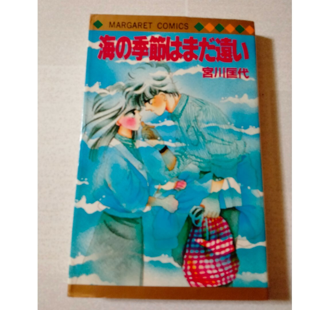 海の季節はまだ遠い 宮川匡代 エンタメ/ホビーの漫画(少女漫画)の商品写真