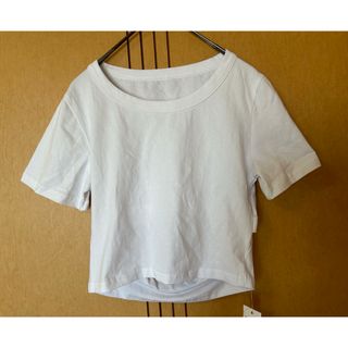 新品　ホワイトTシャツ　半袖トップス　バックオープン(Tシャツ/カットソー(半袖/袖なし))