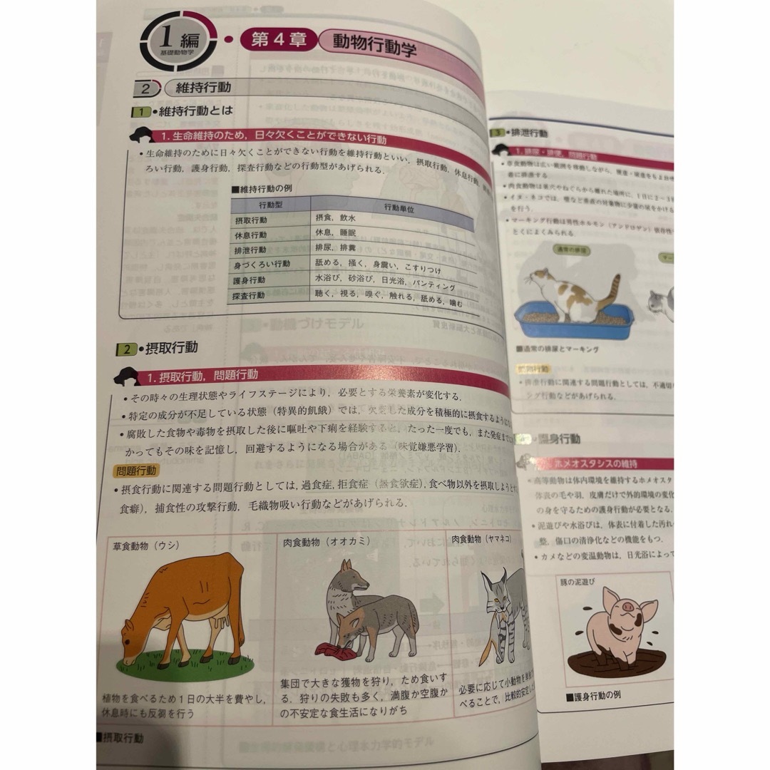 学研(ガッケン)の愛玩動物看護師国家試験  エンタメ/ホビーの本(資格/検定)の商品写真