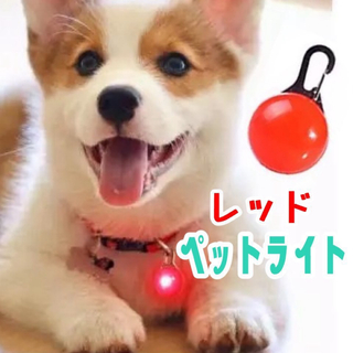 犬 ライト 首輪 リード ペット LED セーフティ ライト 散歩 レッド(リード/首輪)