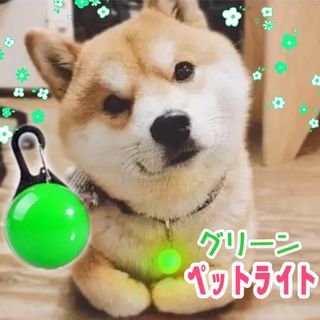 犬 ライト 首輪 リード ペット LED セーフティ ライト 散歩(おもちゃ/ペット小物)