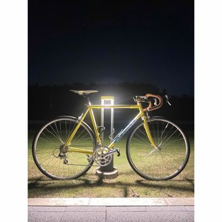 デローザ(DE ROSA)のDE ROSA neo primato(自転車本体)