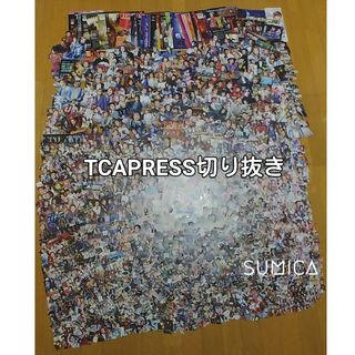 値下げ 宝塚歌劇団 TCAPRESS 切り抜き/素材/コラージュ(印刷物)