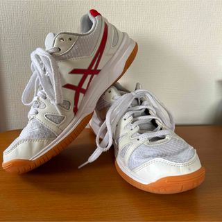 アシックス(asics)のアシックス　体育館シューズ　24cm(スクールシューズ/上履き)