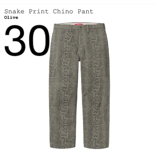 シュプリーム(Supreme)のSupreme Snake Print Chino Pant チノパン(チノパン)