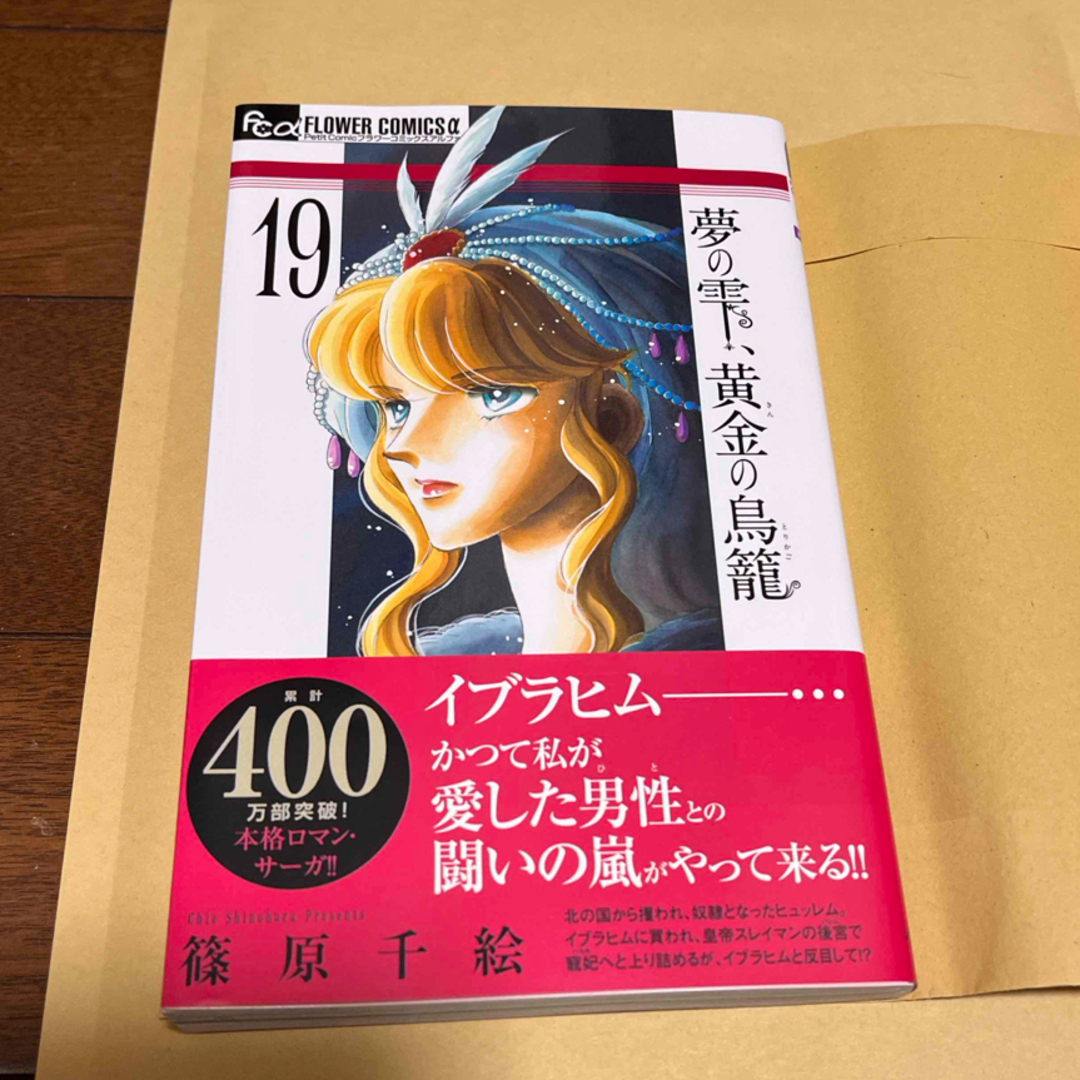 小学館(ショウガクカン)の夢の雫、黄金の鳥籠　19 エンタメ/ホビーの漫画(少女漫画)の商品写真