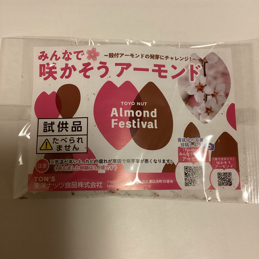 アーモンドの種　7個入り インテリア/住まい/日用品のインテリア/住まい/日用品 その他(その他)の商品写真