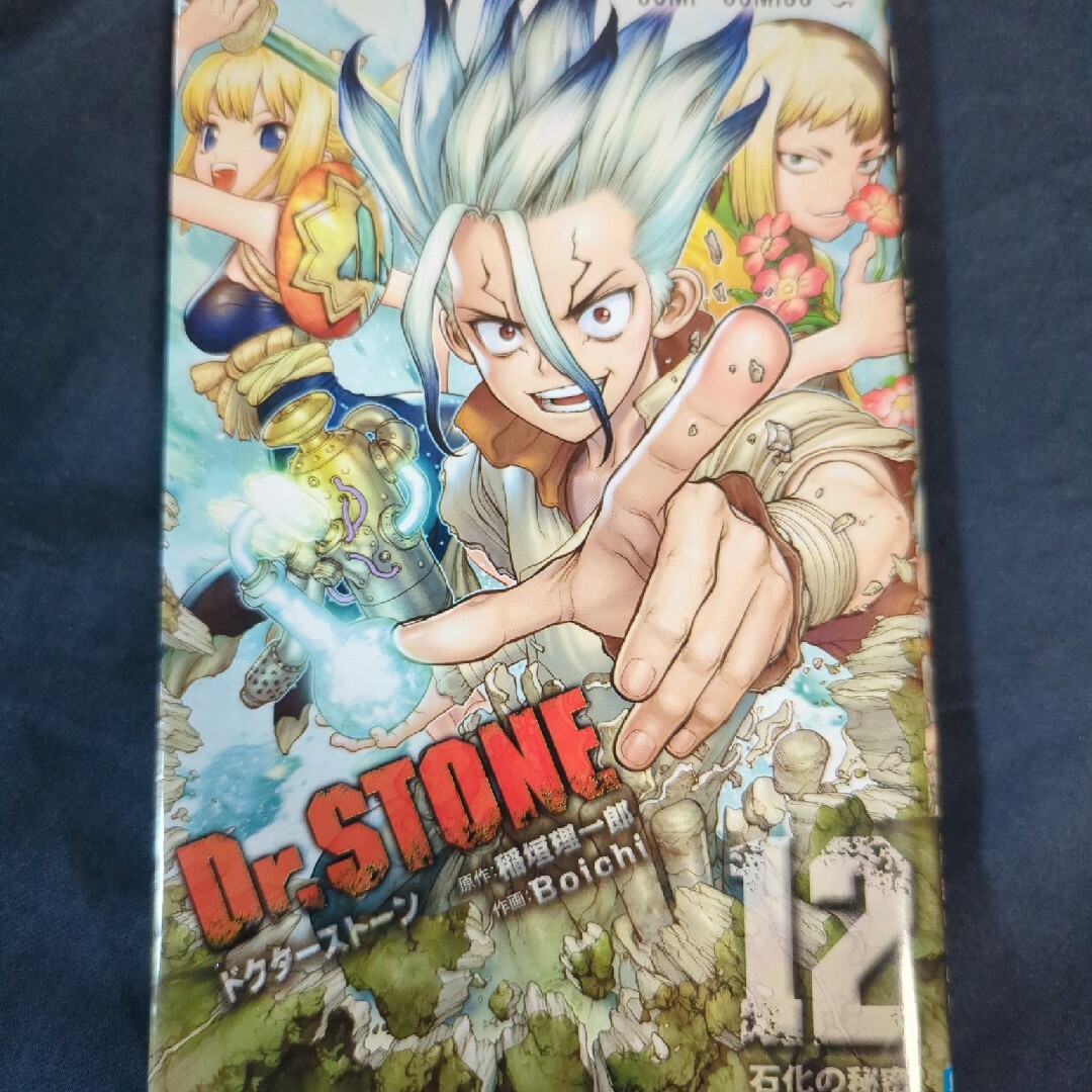 Ｄｒ．ＳＴＯＮＥ エンタメ/ホビーの漫画(その他)の商品写真