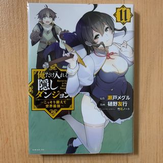 俺だけ入れる隠しダンジョン　11巻(青年漫画)