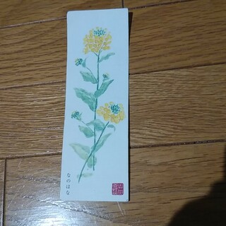 菜の花 カード(その他)