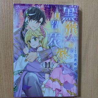 黒龍さまの見習い花嫁　11巻(少女漫画)