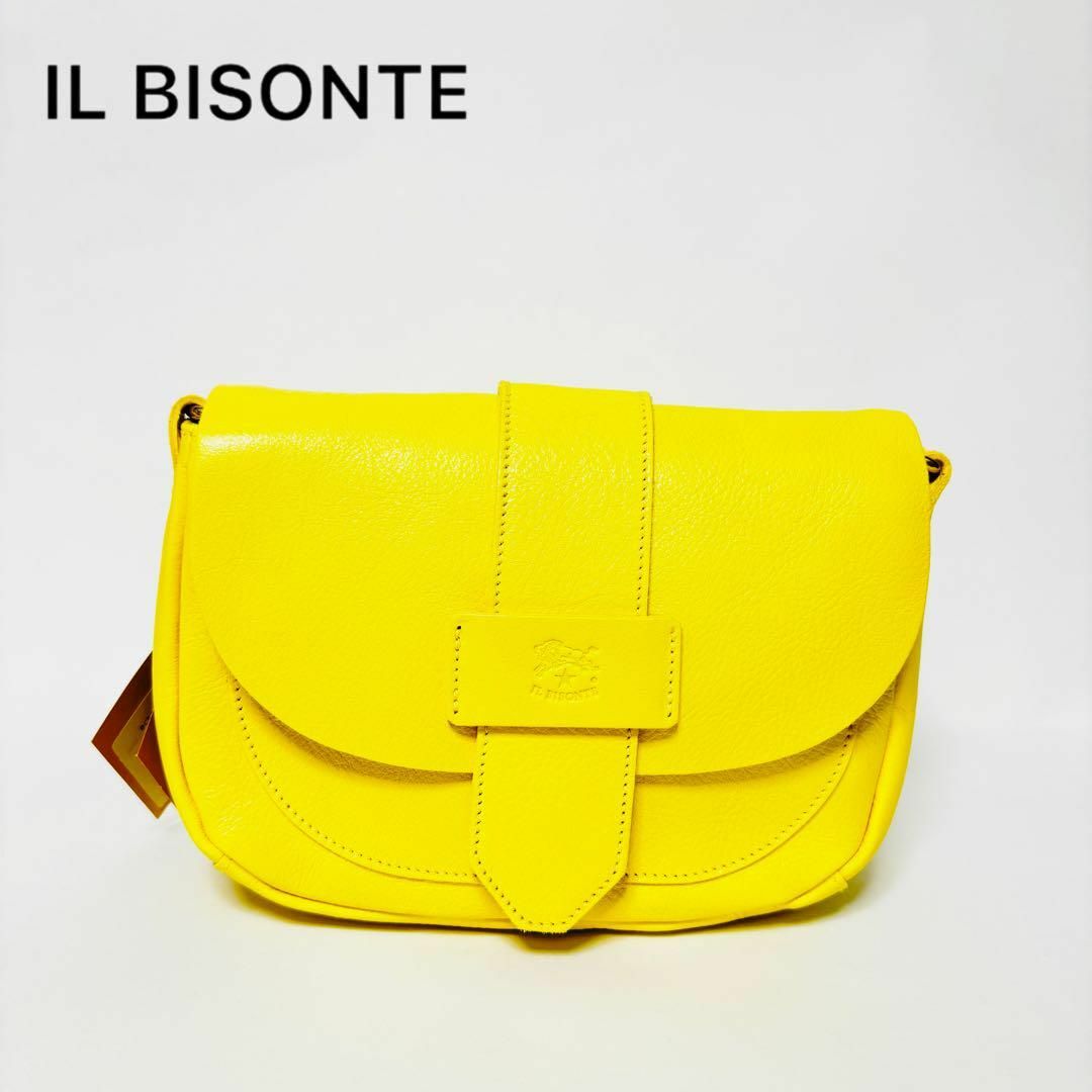 IL BISONTE(イルビゾンテ)のIl bisonte（イルビゾンテ）ショルダーバッグ レディースのバッグ(ショルダーバッグ)の商品写真