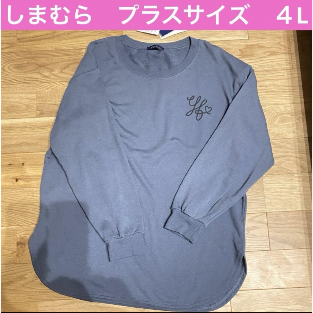 しまむら(シマムラ)のしまむら　大きいサイズ　4L  プラスサイズ　Tシャツ　vandash レディースのトップス(Tシャツ(長袖/七分))の商品写真