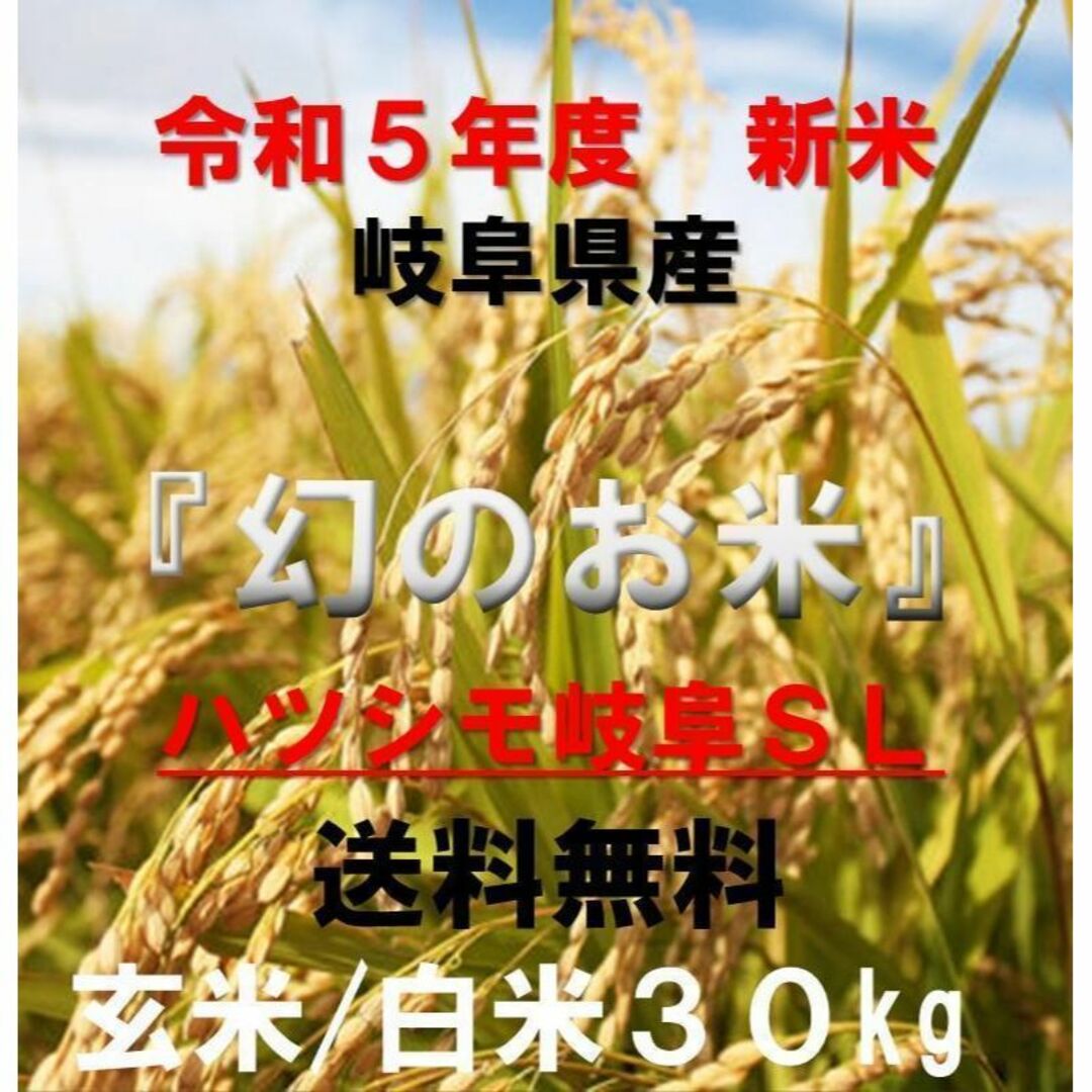 ブランド米　令和５年度『岐阜ハツシモ』新米 玄米(精米も可)　30kg　送料無料 食品/飲料/酒の食品(米/穀物)の商品写真