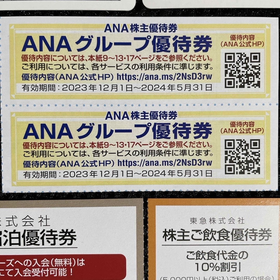 ANA(全日本空輸)(エーエヌエー(ゼンニッポンクウユ))の【匿名配送】ANA株主優待券2枚、東急百貨店・東急ホテルズ宿泊・飲食割引券等 チケットの乗車券/交通券(航空券)の商品写真