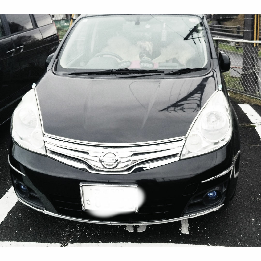 日産(ニッサン)の日産ノートX15黒色　走行約62400km2010年8月日産ディーラー新車購入 自動車/バイクの自動車(車体)の商品写真