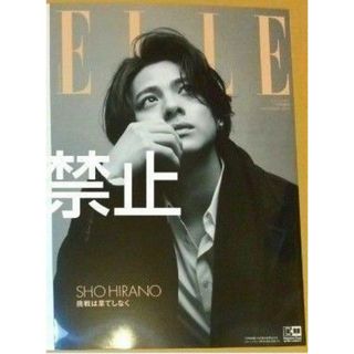 ELLE JAPON11月号(結婚/出産/子育て)