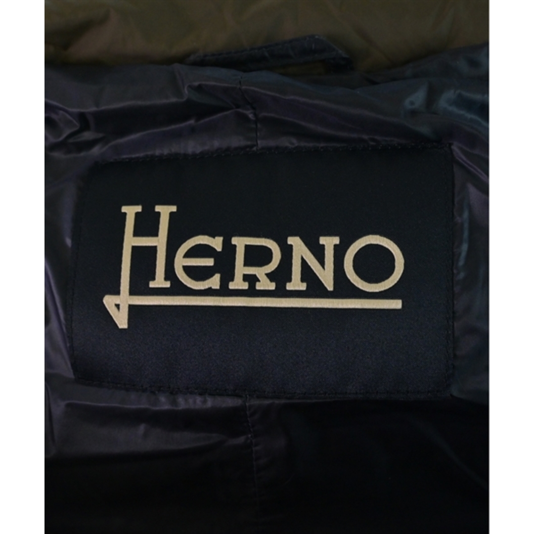 HERNO(ヘルノ)のHERNO ヘルノ ダウンコート 50(XL位) 茶 【古着】【中古】 メンズのジャケット/アウター(その他)の商品写真