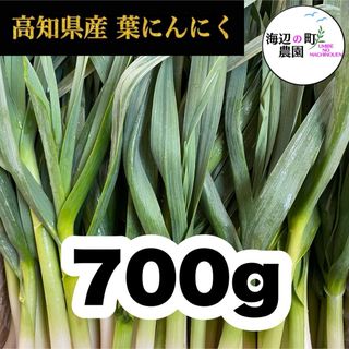 高知県産【高級食材♪葉ニンニク】700g 産地直送 野菜 農家直送 Toj(野菜)