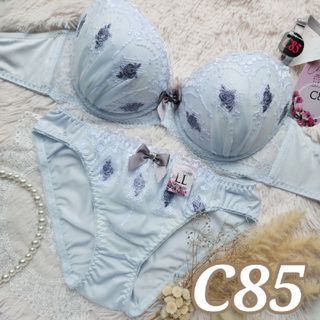 №631【C85】フェアリーメロウシフォンブラジャー&フルバックショーツ(ブラ&ショーツセット)