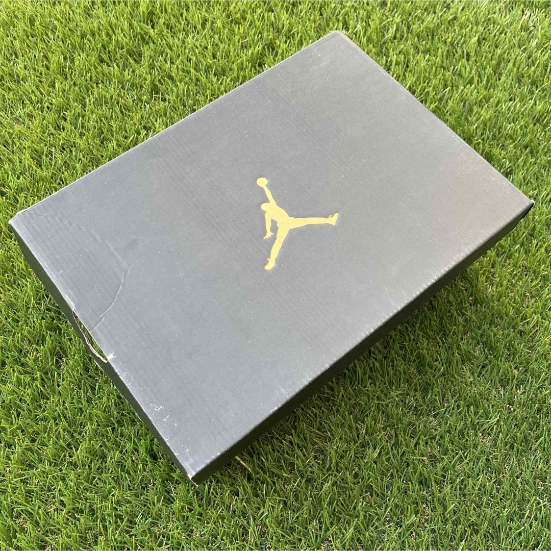 Jordan Brand（NIKE）(ジョーダン)の【新品未使用】NIKE AIR JORDAN 1 LOW ジョーダン 26cm メンズの靴/シューズ(スニーカー)の商品写真