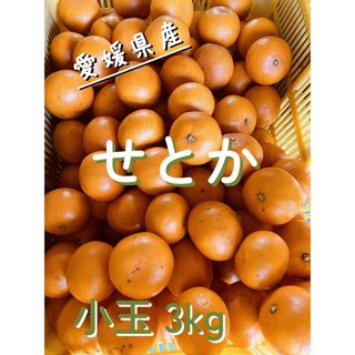 小玉3kg 愛媛県産せとか　家庭用(フルーツ)