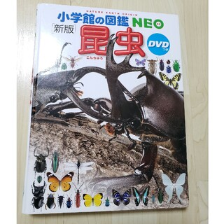 小学館の図鑑NEO 昆虫 DVDなし(絵本/児童書)