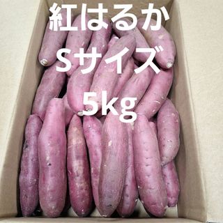 さつまいも　千葉県産紅はるかSサイズ5kg(野菜)