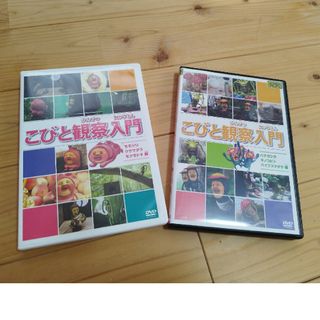 こびと観察入門DVD　2枚組　　こびとづかん　カクレモモジリ(キッズ/ファミリー)